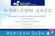Horizon 2020 SMEs -zoran dimitrijevic