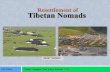 Resettlement of Tibetan Nomads