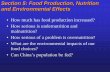 Food Production, Nutrition and Environmental Effects