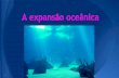 Teoria da expansão oceânica