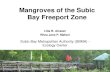 State of the Mangroves: Subic Bay Freeport Zone