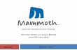 Interactive Marketing Summer Campaign for Mammoth Mountain