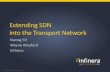 Extending SDN into the Transport Network