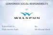 CSR OF WELSPUN LTD