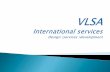 SMO services in chennai | Vlsa international services
