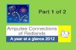 Acr year at glance 2012 part 1