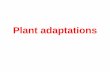 B1.4 plants adaptation