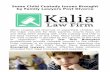 Some Child Custody Issues Brought by Family Lawyers Post Divorce