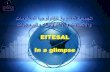Introduction to EITESAL - Mr. Asem Wahby