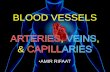 Blood vessels: Arteries, Veins and Capillaries