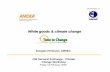 CBI climate change sectoral exchange workshop: Douglas Herbison, AMDEA