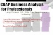 CBAP Business Analysis Training 26-28 December 2014 Karachi