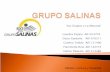 Grupo Salinas (Medios)