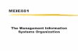 MEIE881 The Management Information Systems Organization