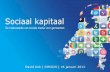 Social Cities 16 januari 2013 - Sociaal Kapitaal, David Kok