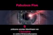 Fabulous 5 (Wim van Oven NVVP-2014)