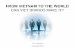 From Vietnam To The World - Can Viet Brands Make It?