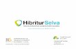 HibriturSelva, la xarxa de col·laboració per a projectes turístics innovadors