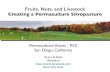 Permaculture Voices: Silvopasture PV2