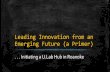 Initiating a U.Lab Hub in Roanoke - Leading Innovation from an Emerging Future