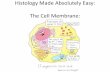 Histology Made Easy: The cell membrane; Semi permeable membrane; fluid Mosaic Model; Membrane proteins; Transport across the membrane; Active and passive transport.