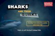 Shark Fun Facts (Sharks & Their Quirks)