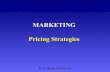 Marketing Pricing Strategies