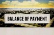 Presentation balance of payment