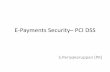 E payment security – pci dss