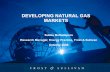 Developing Natural Gas Markets