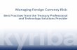 Managing Foreign Currency Risk Best Practices from the Treasury Professional and Technology Solutions Provider