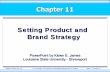 Setting Product and Brand Strategy