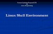 Linux shell env