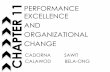 Chp11 performance excellence