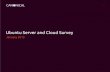 Ubuntu 2014 Cloud and Server Survey