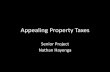 Property Tax Appeal Presentation