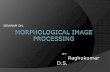 Morphological image processing