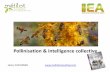 Pollinisation et intelligence collective - Henry Duchemin