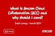 A year on, learn about Amcom’s journey with Cisco HCS