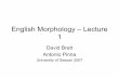 English morphology–lecture1