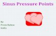 Sinus pressure points