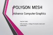 Polygon  mesh
