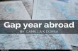 In depth study - Gap year abroad