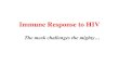 Immune Response to HIV