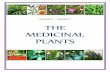 The medicinal plants