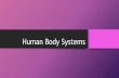 Human body systems (booklet review)