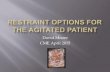 Restraint Options for the Agitated Patient