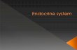 Endocrine system paramedical
