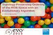Topology-Preserving Ordering of the RGB Space with an Evolutionary Algorithm