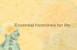 essential hormones for life